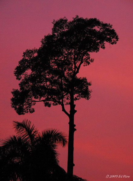 Sunset in Pink