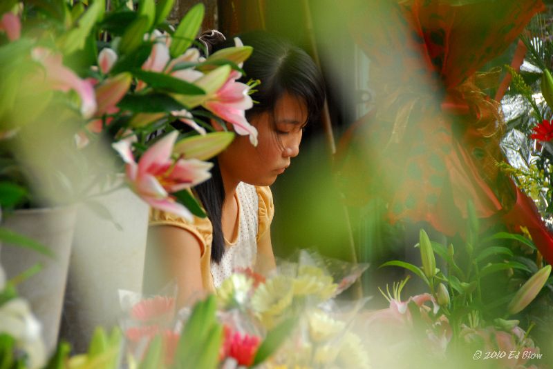 The Flower Arranger