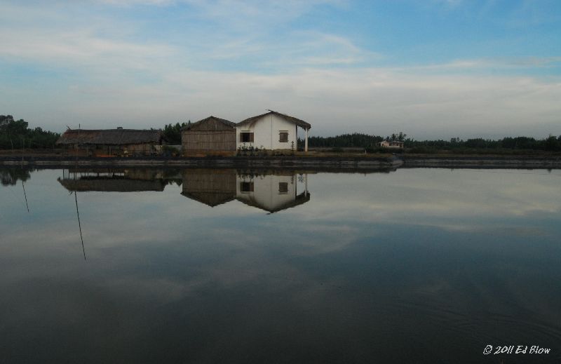 Pond Reflecting