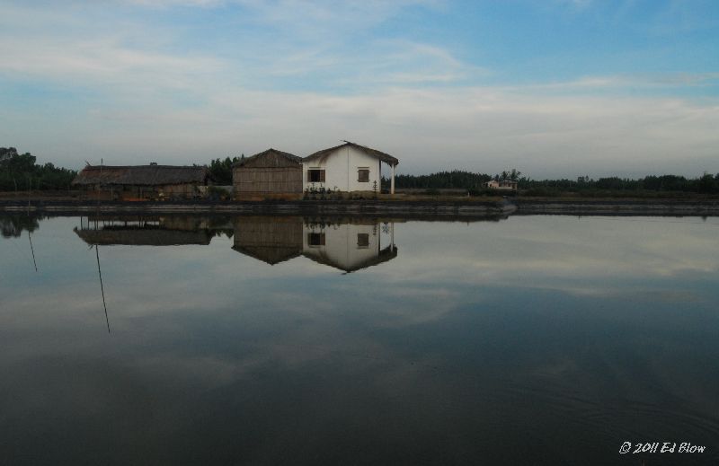 Pond Reflecting