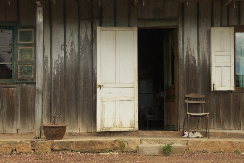 Wood house and cat