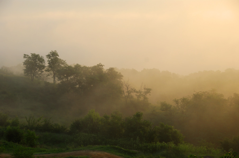 Golden Misty Valley