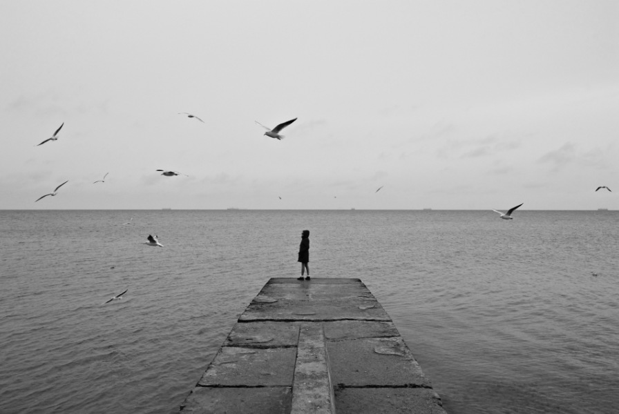 Black Sea Gulls