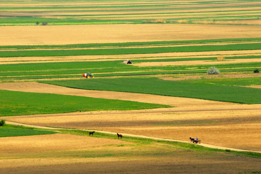 Pastoral Romania