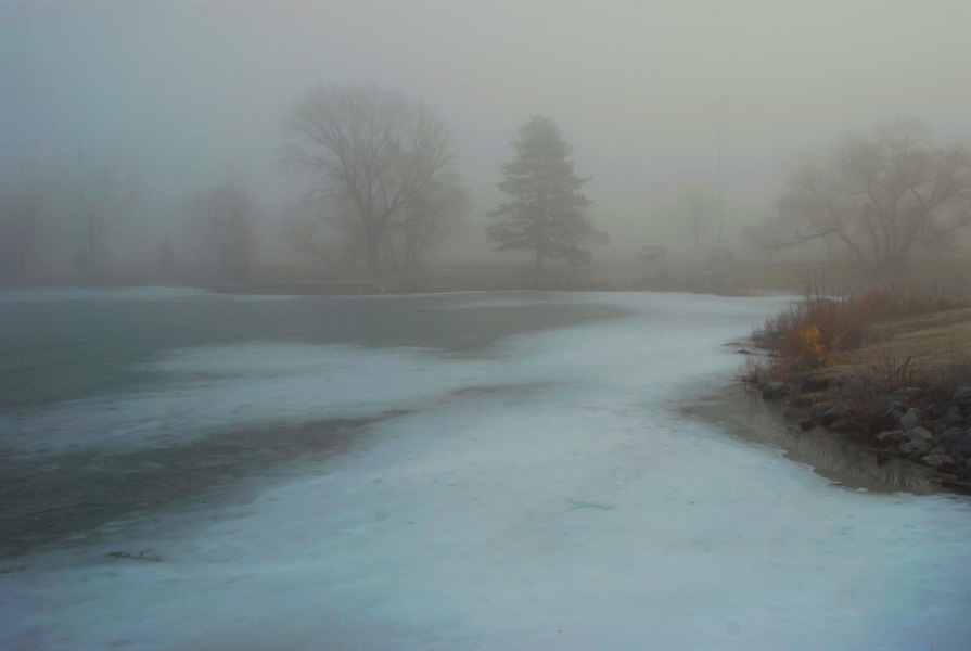Mornning Fog