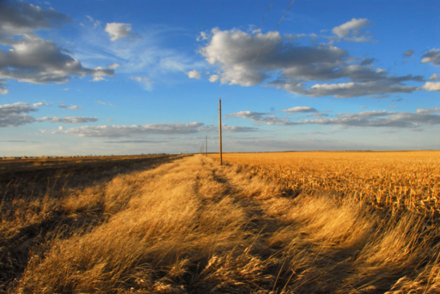 Golden Hour in the Panhandle